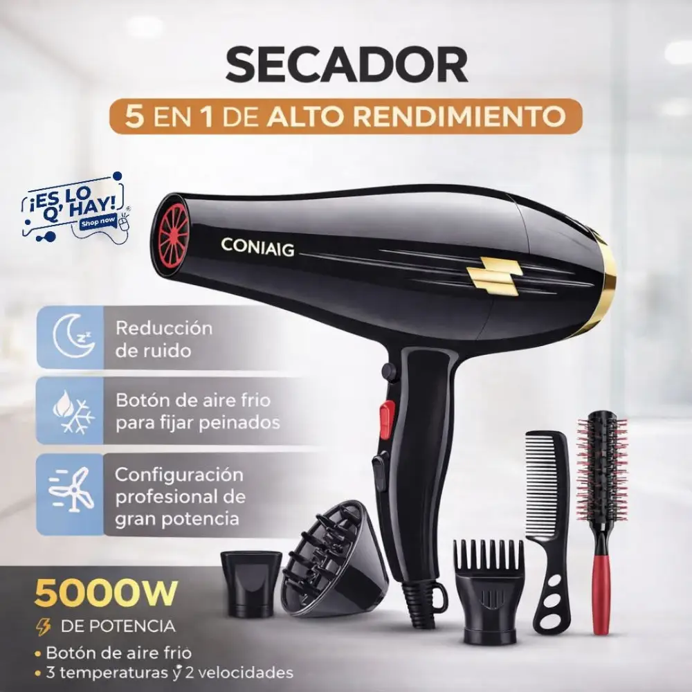 Secador 5 en 1