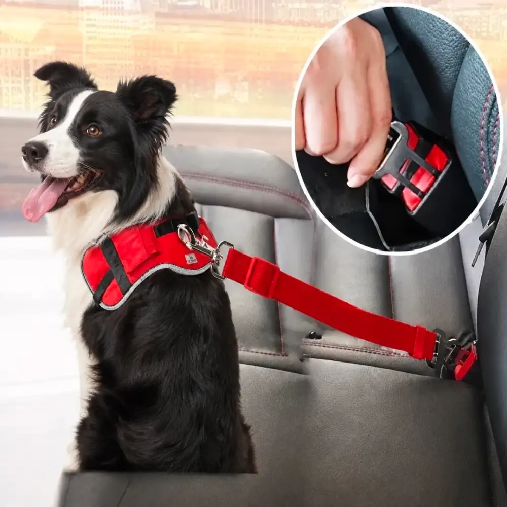 Cinturón de Seguridad para Mascotas